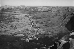 ThenC-MLP-Ya_Ha_Tinda_from_Wapiti_Mtn-960by820