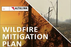 002Wildfire-Mit-1 002Wildfire-Mit-1