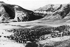 Bighorn River Canyon, c. 1920