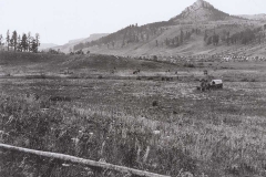 Black Hills Deerfield-1874