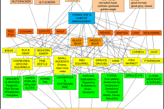 2026-02-24-Banff-Foodweb 2026-02-24-Banff-Foodweb