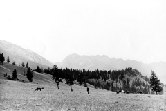Columbia Valley Grasslands, 1883