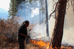 Ecological & Cultural Restoration Reduces Wildfire Risk