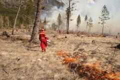 ThenE-Carrot-Creek-Fuelbreak-Maintenance