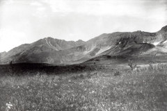 Grasslands Livingston Range, 1884