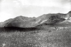 Grasslands Livingston Range, 1884