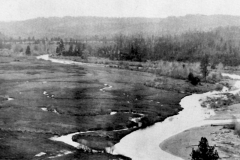 Longley Meadows1919