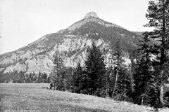 Meadow on Gallatin River c. 1890