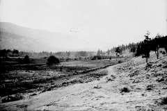 Nicola Valley at Woodwards 1877
