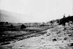 Nicola Valley at Woodwards 1877