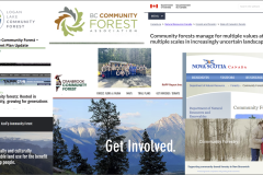 Pathway Forward 2: Community Forest Agreements