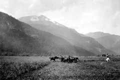 Pemberton Meadows 1911