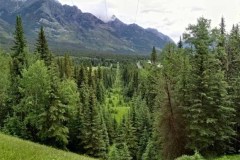 Powerline in Hillsdale Meadows