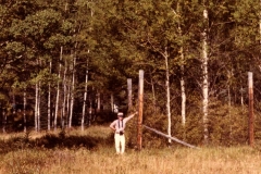 Sawback Aspen Exclosure, 1981