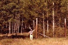 Sawback Aspen Exclosure, 1981