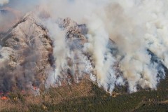 Sawback-Range-2016-burn