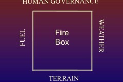 The Burn Box