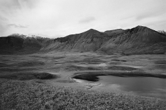 Waterton Lakes Bison Paddock, 1914
