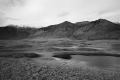 Waterton Lakes Bison Paddock, 1914