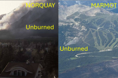 Norquay-1992-Marmot-2024