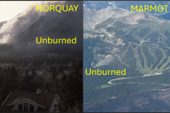Norquay-Marmot-burned-unburned